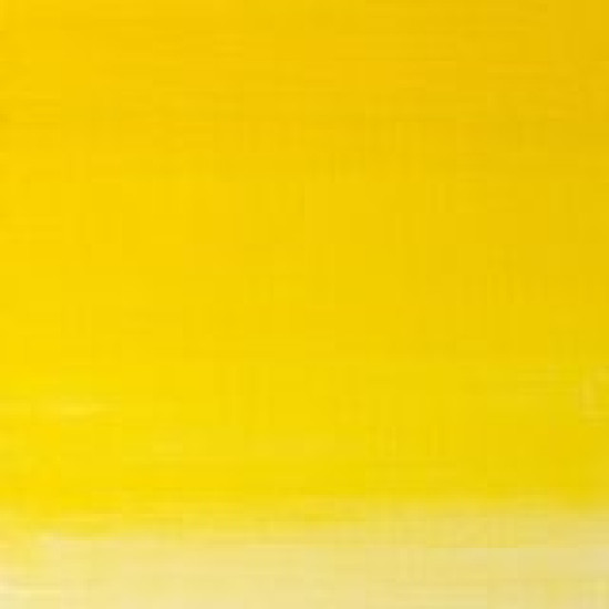 Artists Oil Colour 730 Winsor Yellow S2