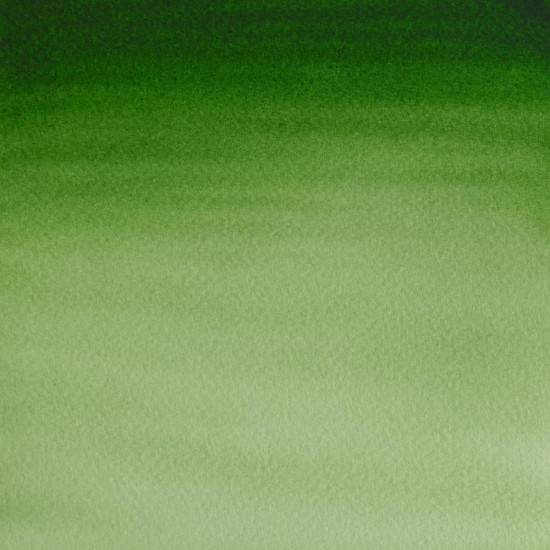 W&N Cotman Akvarel H/P 314 Hooker's Green Light