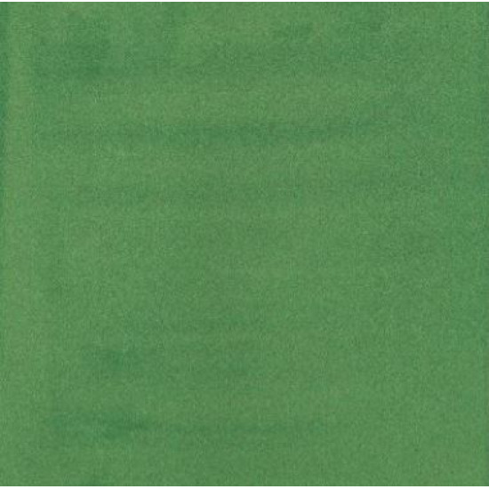 Liquitex Professionel Akryl Ink 224 Hooker’s Green Deep Hue Permanent