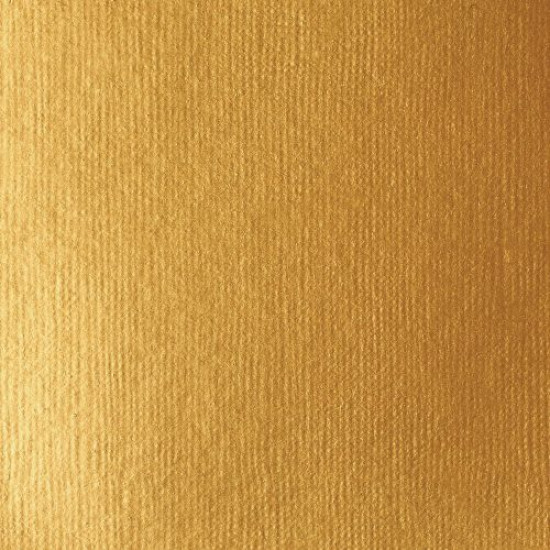 Liquitex Basic Akrylmaling 51 Gold