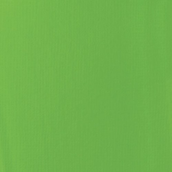 Liquitex Basic Akrylmaling 222 Lime Green