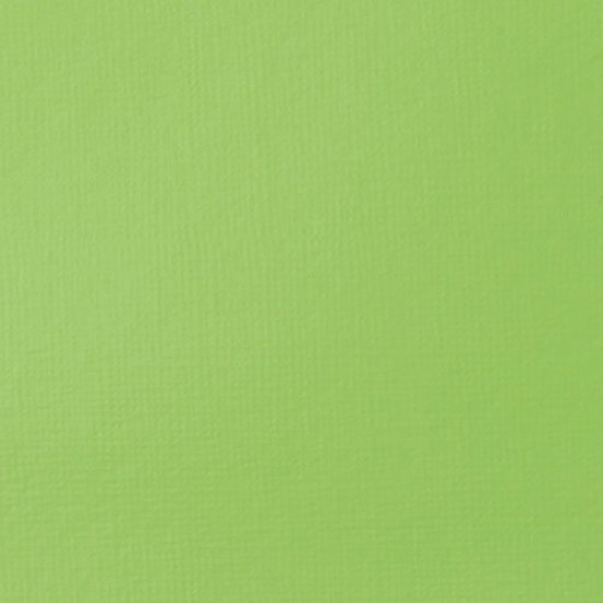 Liquitex Basic Akrylmaling 840 Brilliant Yellow Green
