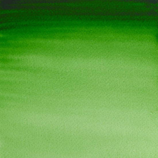 W&N Proff. Akvarelmaling H/P 311 Hooker's Green S1