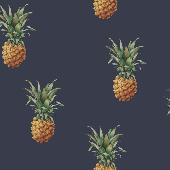 Pineapples G45451